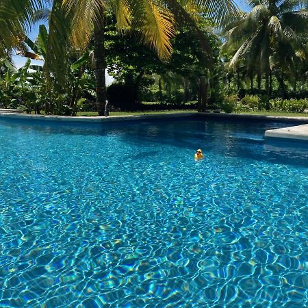 Sand Dollar Beach Bed & Breakfast Bocas del Toro Exterior photo