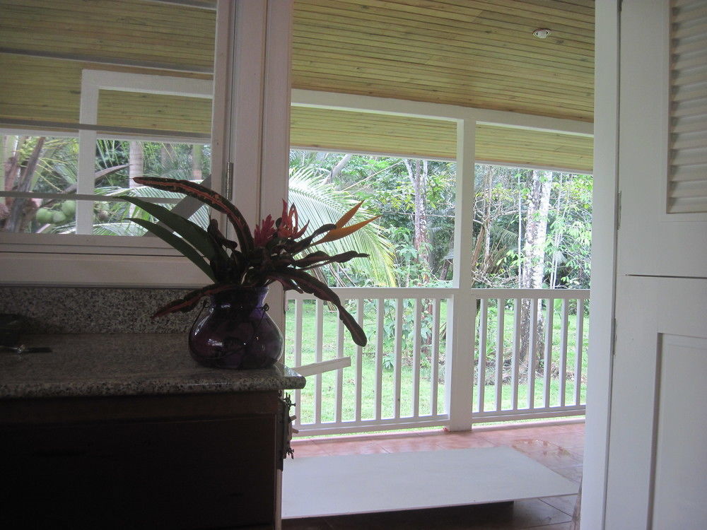 Sand Dollar Beach Bed & Breakfast Bocas del Toro Exterior photo